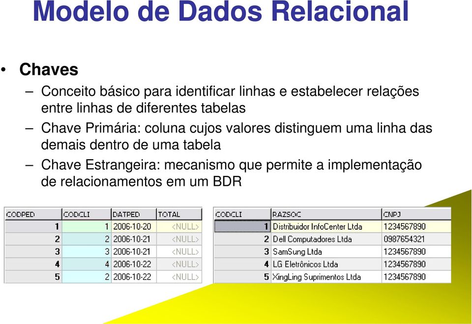 coluna cujos valores distinguem uma linha das demais dentro de uma tabela