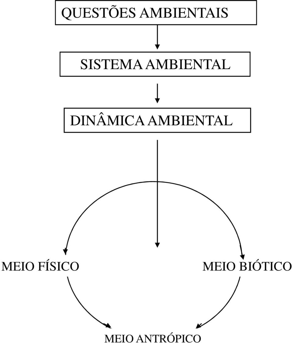 DINÂMICA AMBIENTAL MEIO