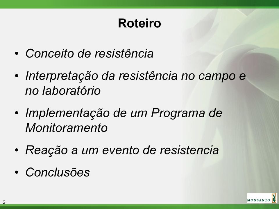 Implementação de um Programa de