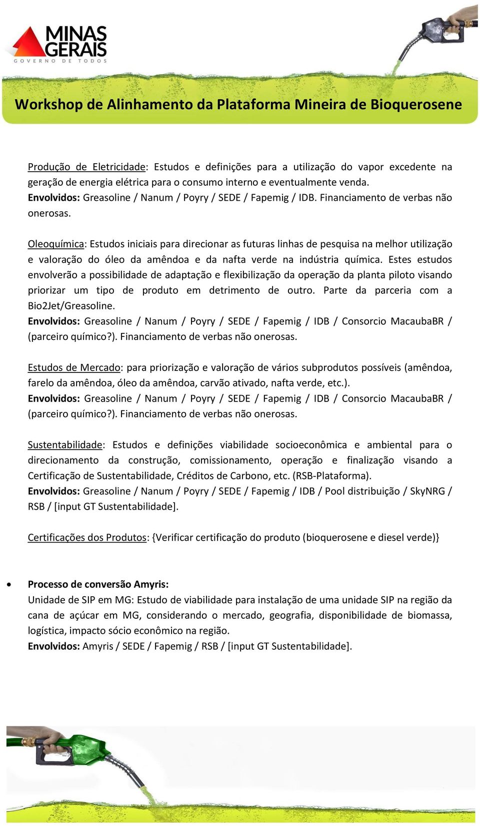 Oleoquímica: Estudos iniciais para direcionar as futuras linhas de pesquisa na melhor utilização e valoração do óleo da amêndoa e da nafta verde na indústria química.