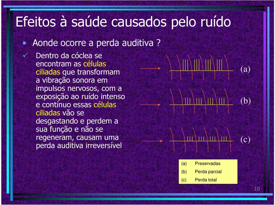 nervosos, com a exposição ao ruído intenso e contínuo essas células ciliadas vão se desgastando e