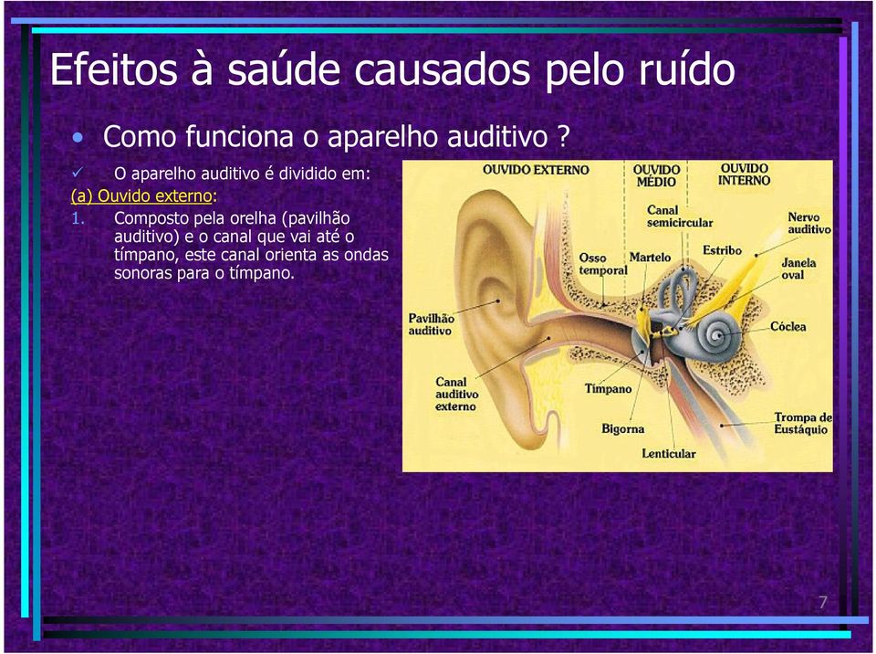 O aparelho auditivo é dividido em: (a) Ouvido externo: 1.