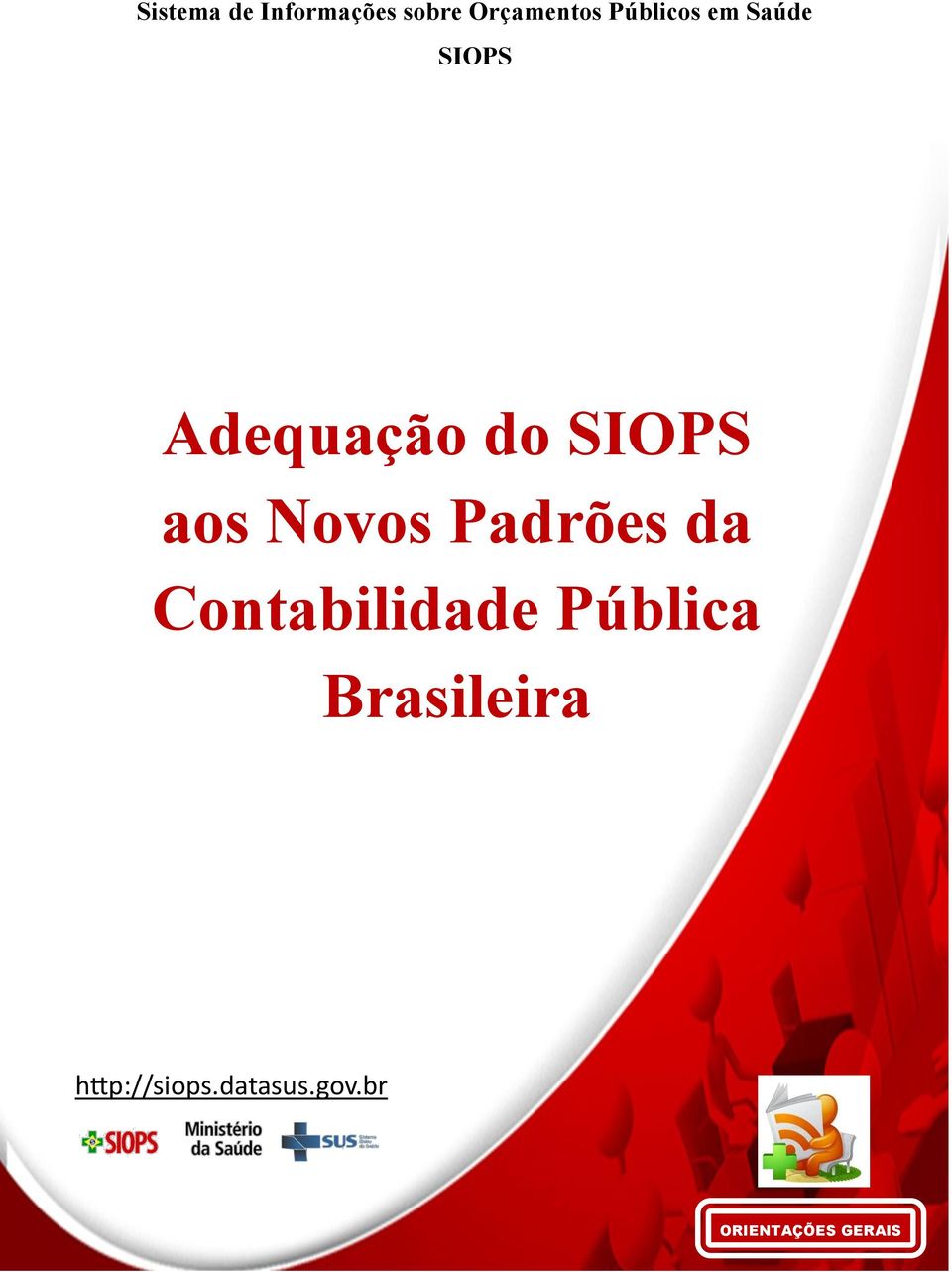 aos Novos Padrões da Contabilidade Pública