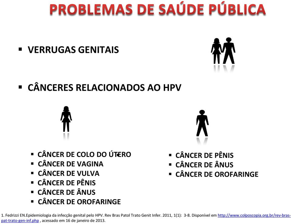 Fedrizzi EN.Epidemiologia da infecção genital pelo HPV. Rev Bras Patol Trato Genit Infer. 2011, 1(1): 3-8.
