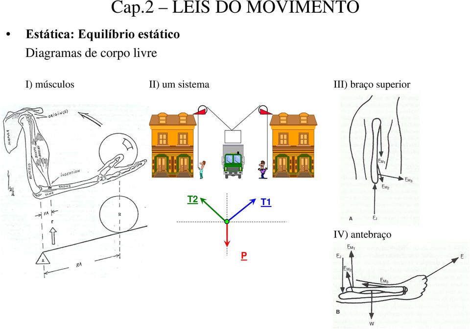 LEIS DO MOVIMENTO I) músculos II)