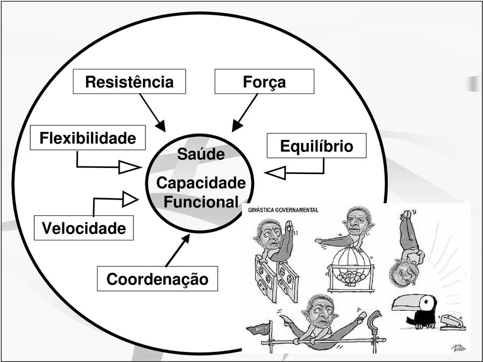 Velocidade Saúde