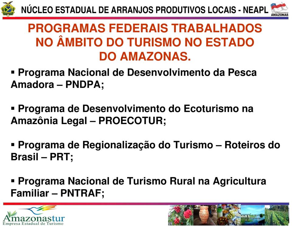 Desenvolvimento do Ecoturismo na Amazônia Legal PROECOTUR; Programa de