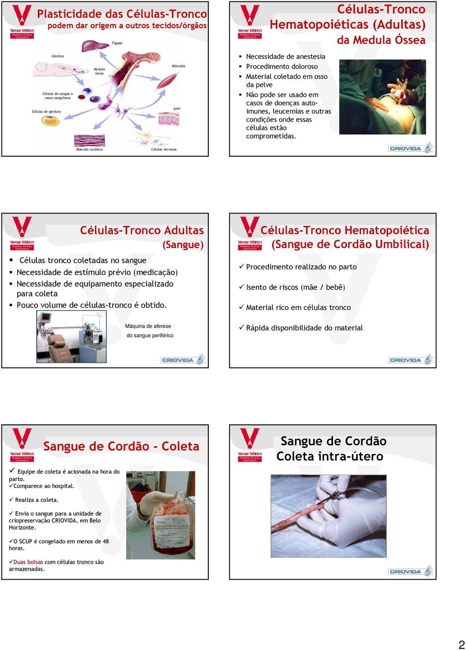 condições onde essas células estão comprometidas.