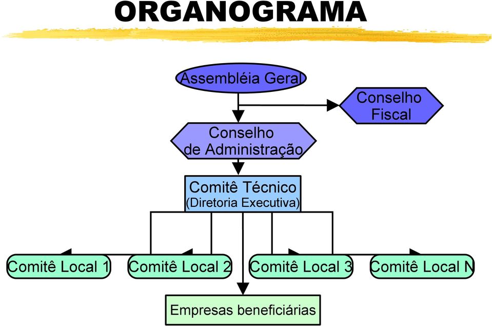 (Diretoria Executiva) Comitê Local 1 Comitê