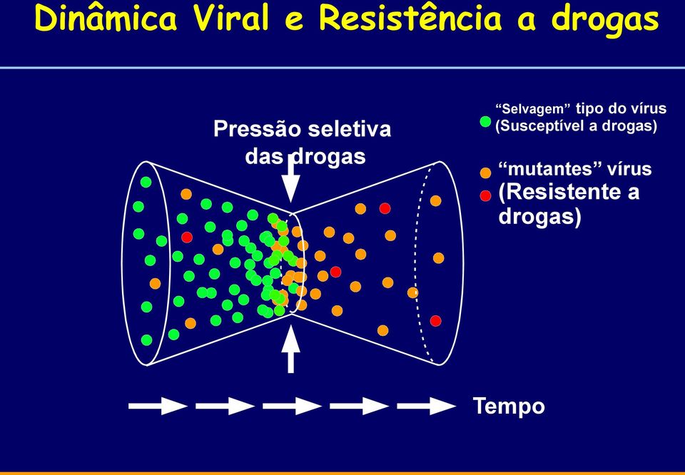 tipo do vírus (Susceptível a drogas)