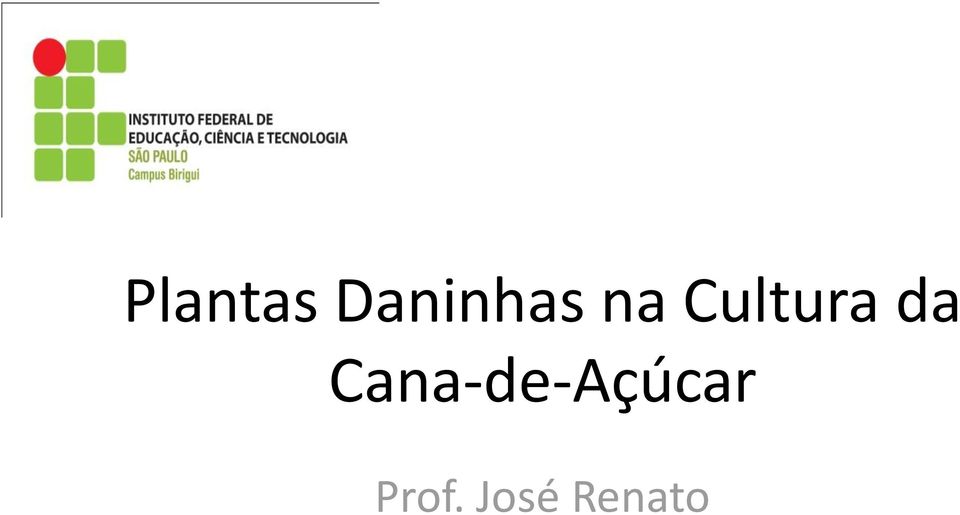 Cultura da