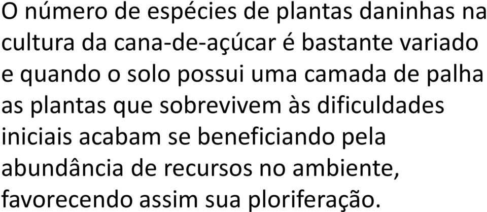 plantas que sobrevivem às dificuldades iniciais acabam se beneficiando