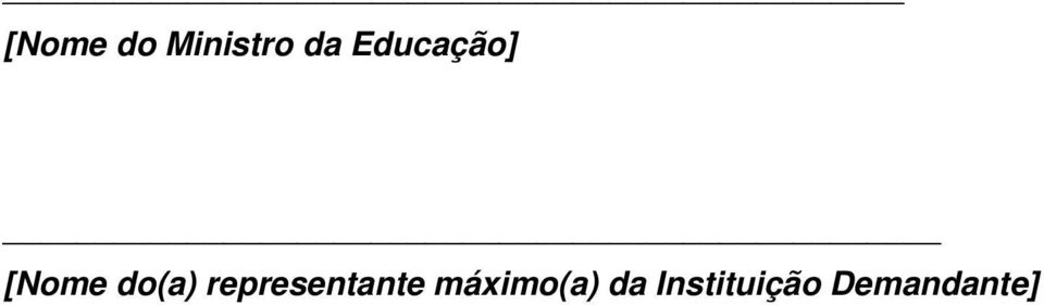 representante máximo(a)