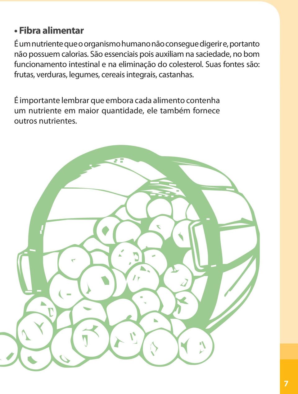 São essenciais pois auxiliam na saciedade, no bom funcionamento intestinal e na eliminação do colesterol.