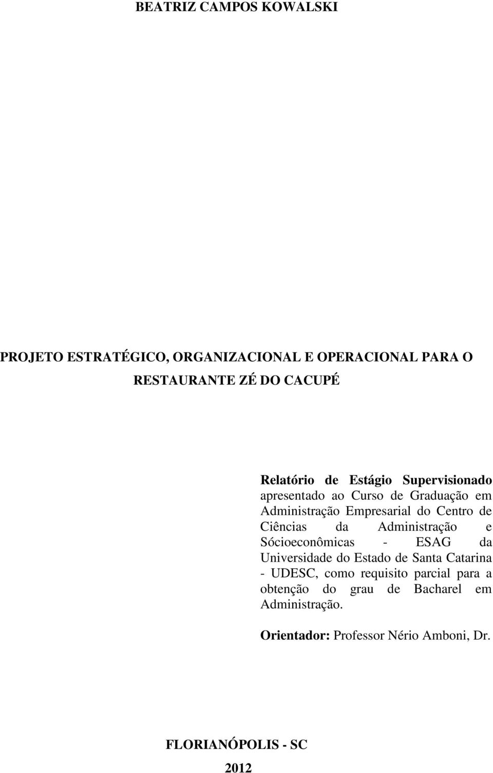 Administração e Sócioeconômicas - ESAG da Universidade do Estado de Santa Catarina - UDESC, como requisito parcial