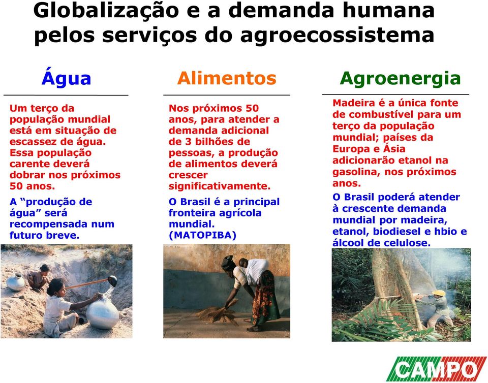 Alimentos Nos próximos 50 anos, para atender a demanda adicional de 3 bilhões de pessoas, a produção de alimentos deverá crescer significativamente.