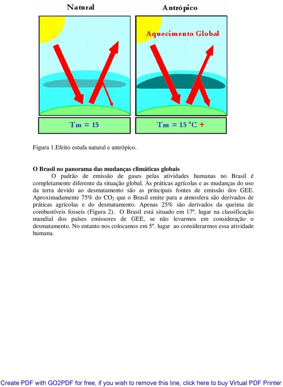 As práticas agrícolas e as mudanças do uso da terra devido ao desmatamento são as principais fontes de emissão dos GEE.