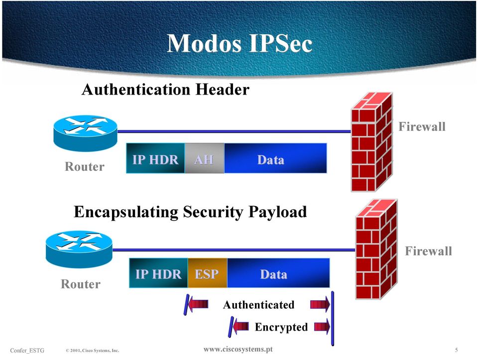 Encapsulating Security Payload