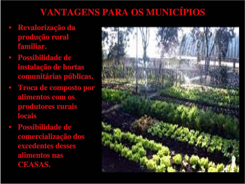 Possibilidade de instalação de hortas comunitárias públicas.