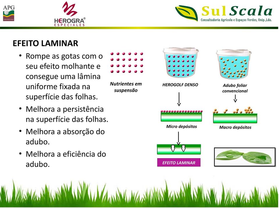 Melhora a persistência na superfície das folhas. Melhora a absorção do adubo.