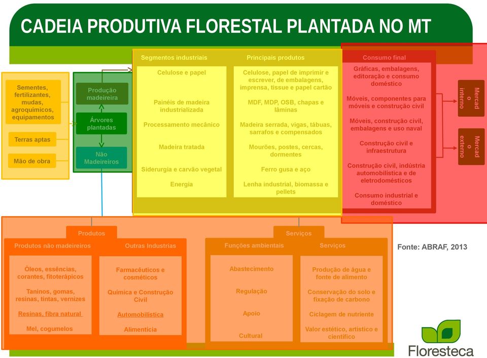 dormentes Siderurgia e carvão vegetal Ferro gusa e aço Energia Lenha industrial, biomassa e pellets Terras aptas Não Madeireiros Mão de obra Produtos Produtos não madeireiros Gráficas, embalagens,