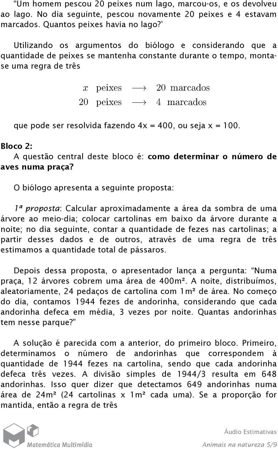 Bloco 2: A questão central deste bloco é: como determinar o número de aves numa praça?