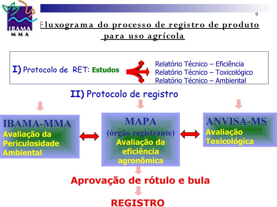 Toxicológico Relatório Técnico Ambiental IBAMA-MMA Avaliação da Periculosidade Ambiental MAPA