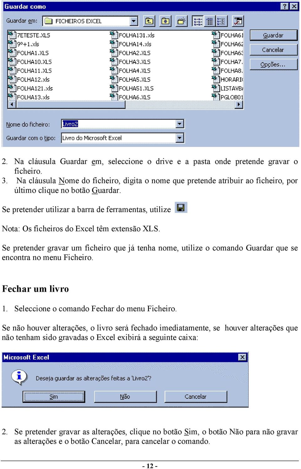 Se pretender utilizar a barra de ferramentas, utilize Nota: Os ficheiros do Excel têm extensão XLS.