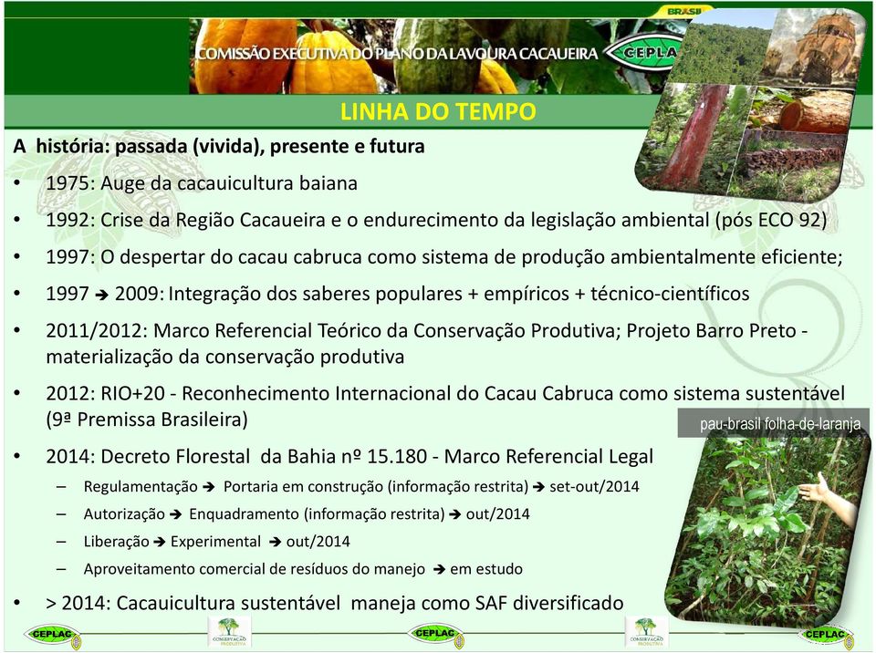 Conservação Produtiva; Projeto Barro Preto materialização da conservação produtiva 2012: RIO+20 - Reconhecimento Internacional do Cacau Cabruca como sistema sustentável (9ª Premissa Brasileira)