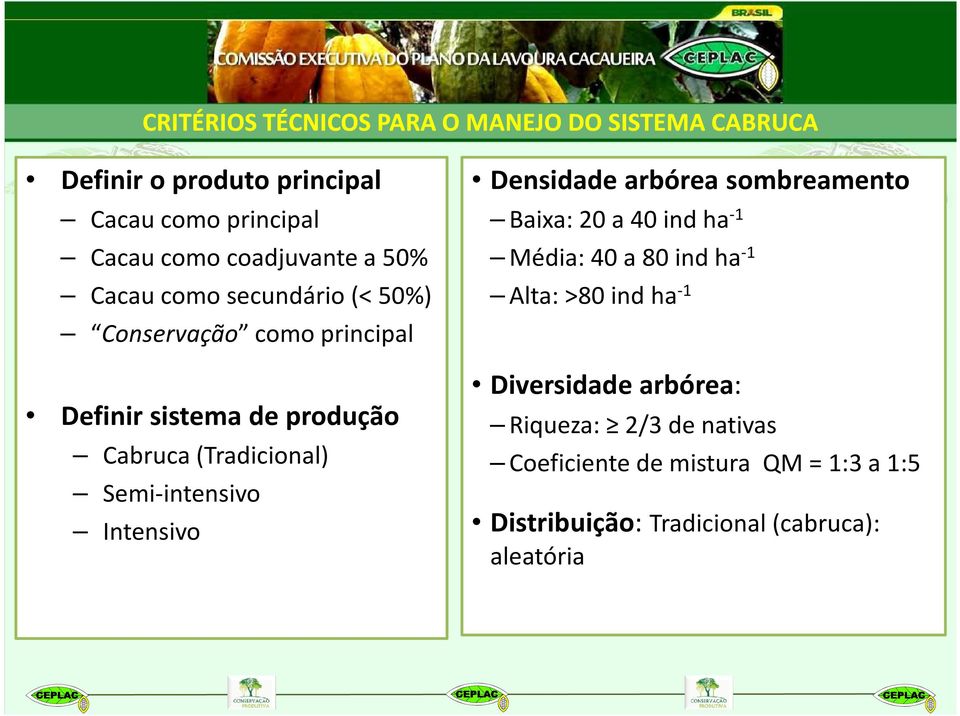 (Tradicional) Semi-intensivo Intensivo Densidade arbórea sombreamento Baixa: 20 a 40 indha -1 Média: 40 a 80 indha -1