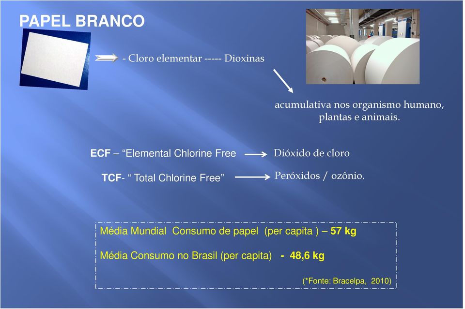 ECF Elemental Chlorine Free TCF- Total Chlorine Free Dióxido de cloro
