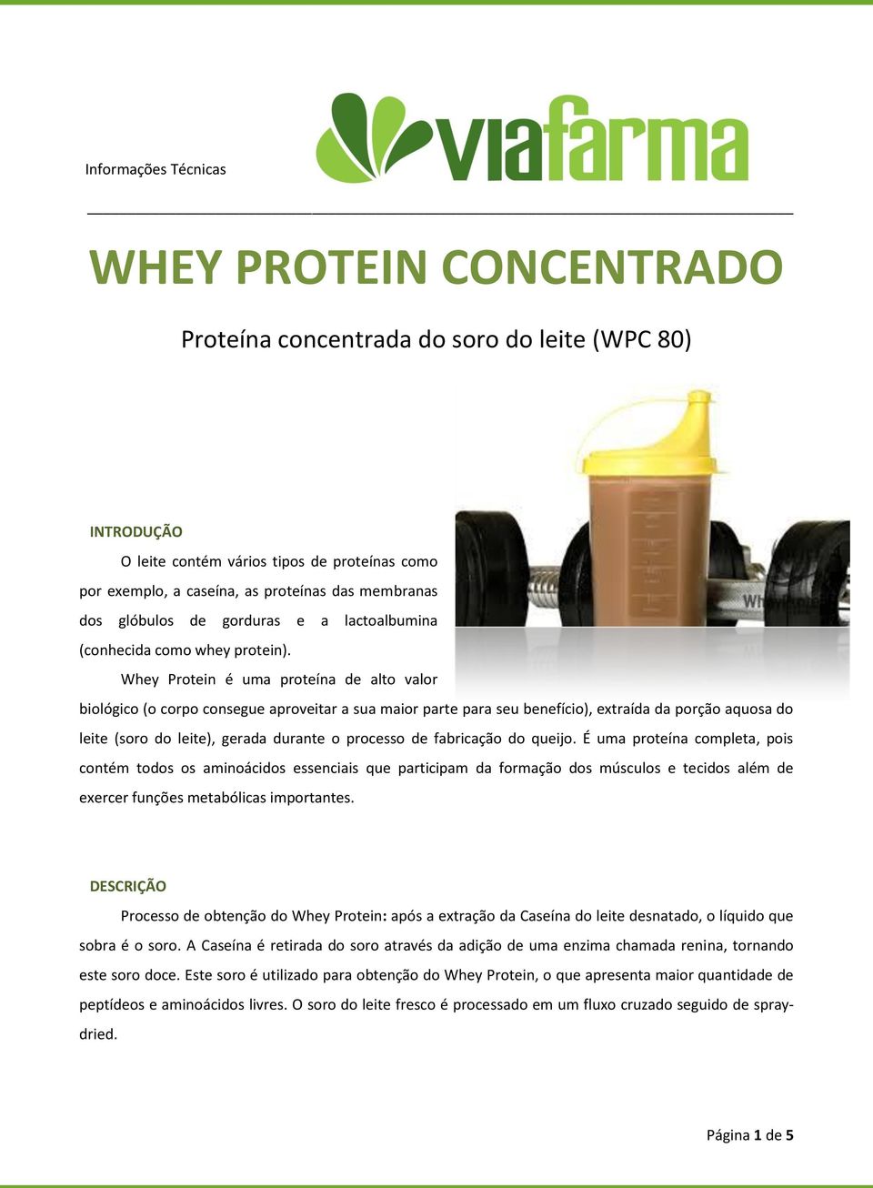 Whey Protein é uma proteína de alto valor biológico (o corpo consegue aproveitar a sua maior parte para seu benefício), extraída da porção aquosa do leite (soro do leite), gerada durante o processo