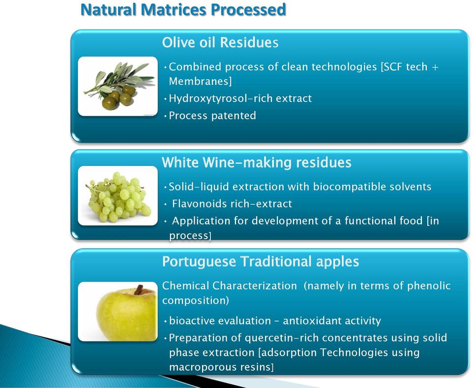 functional food [in process] Portuguese Traditional apples Chemical Characterization (namely in terms of phenolic composition) bioactive