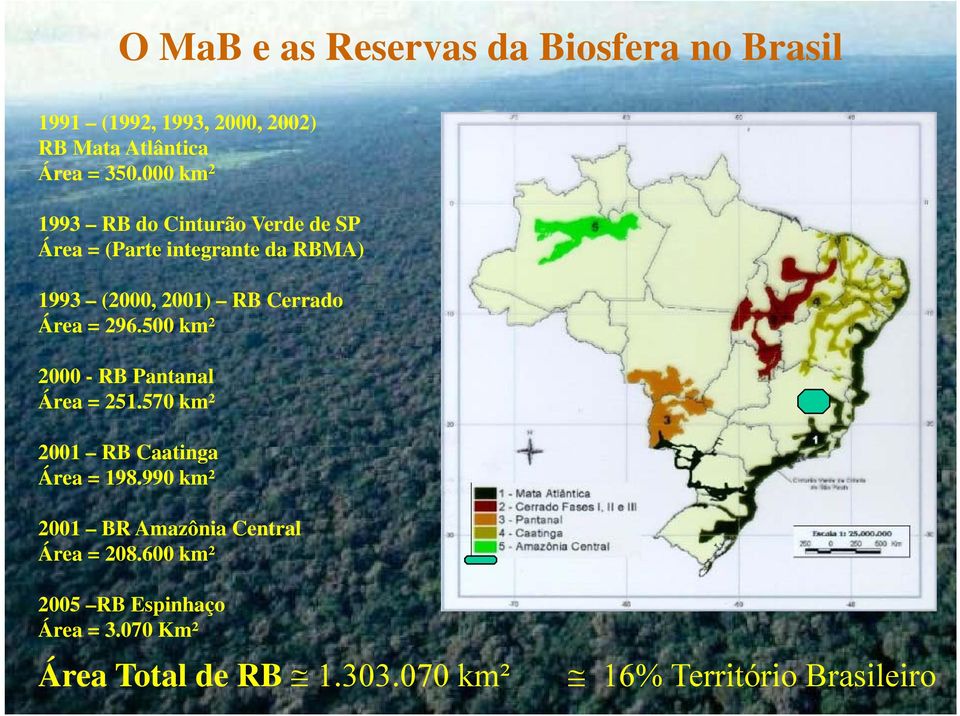 = 296.500 km² 2000 - RB Pantanal Área = 251.570 km² 2001 RB Caatinga Área = 198.