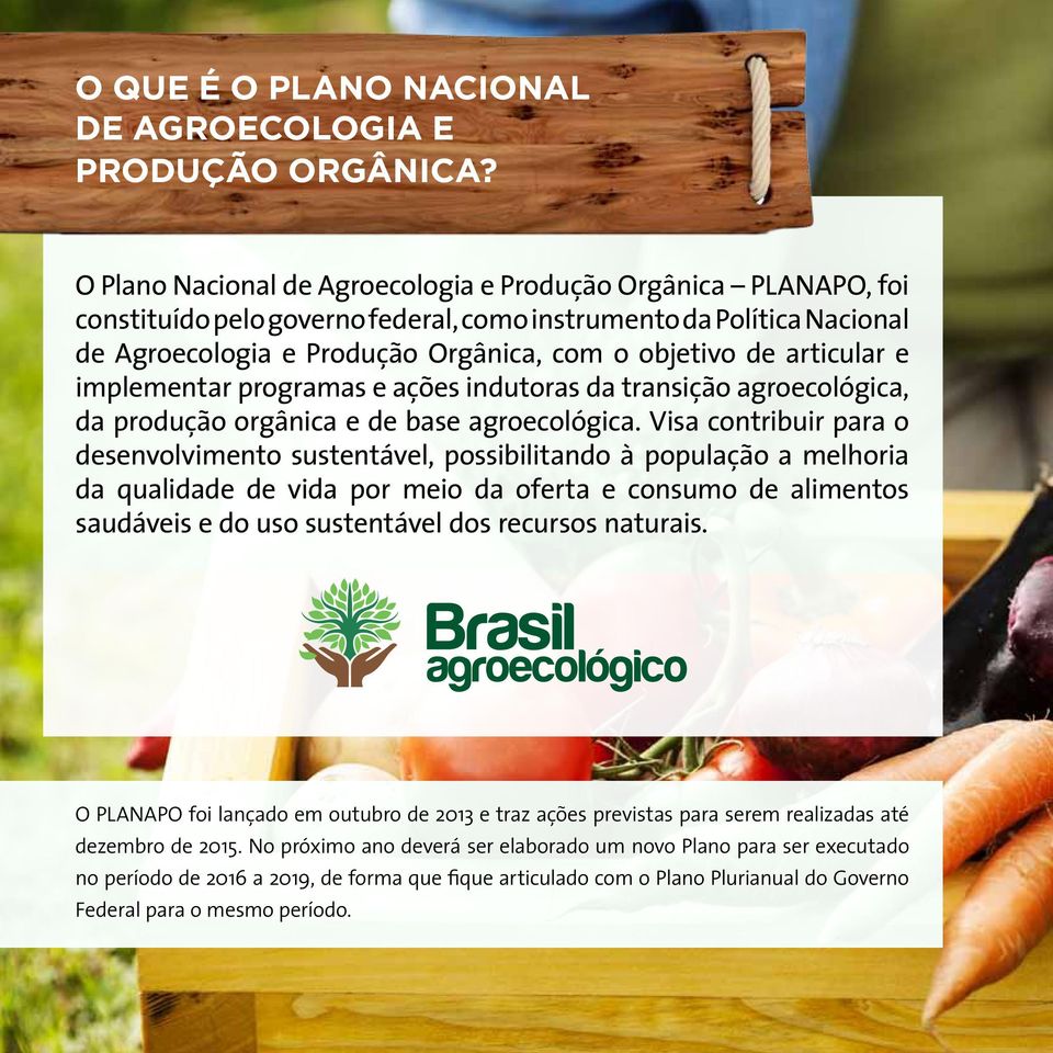 articular e implementar programas e ações indutoras da transição agroecológica, da produção orgânica e de base agroecológica.