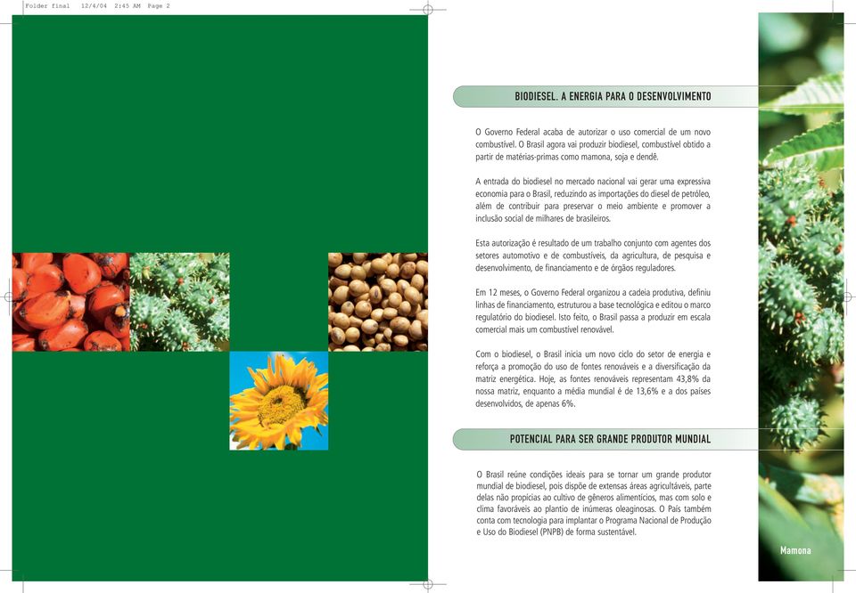 A entrada do biodiesel no mercado nacional vai gerar uma expressiva economia para o Brasil, reduzindo as importações do diesel de petróleo, além de contribuir para preservar o meio ambiente e