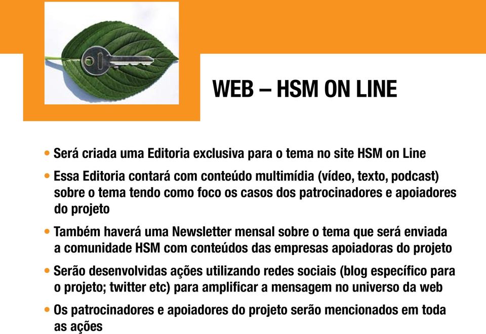 será enviada a comunidade HSM com conteúdos das empresas apoiadoras do projeto Serão desenvolvidas ações utilizando redes sociais (blog específico