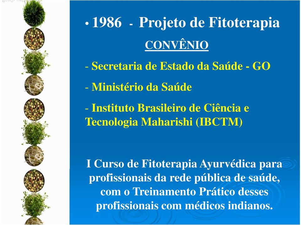 (IBCTM) I Curso de Fitoterapia Ayurvédica para profissionais da rede pública