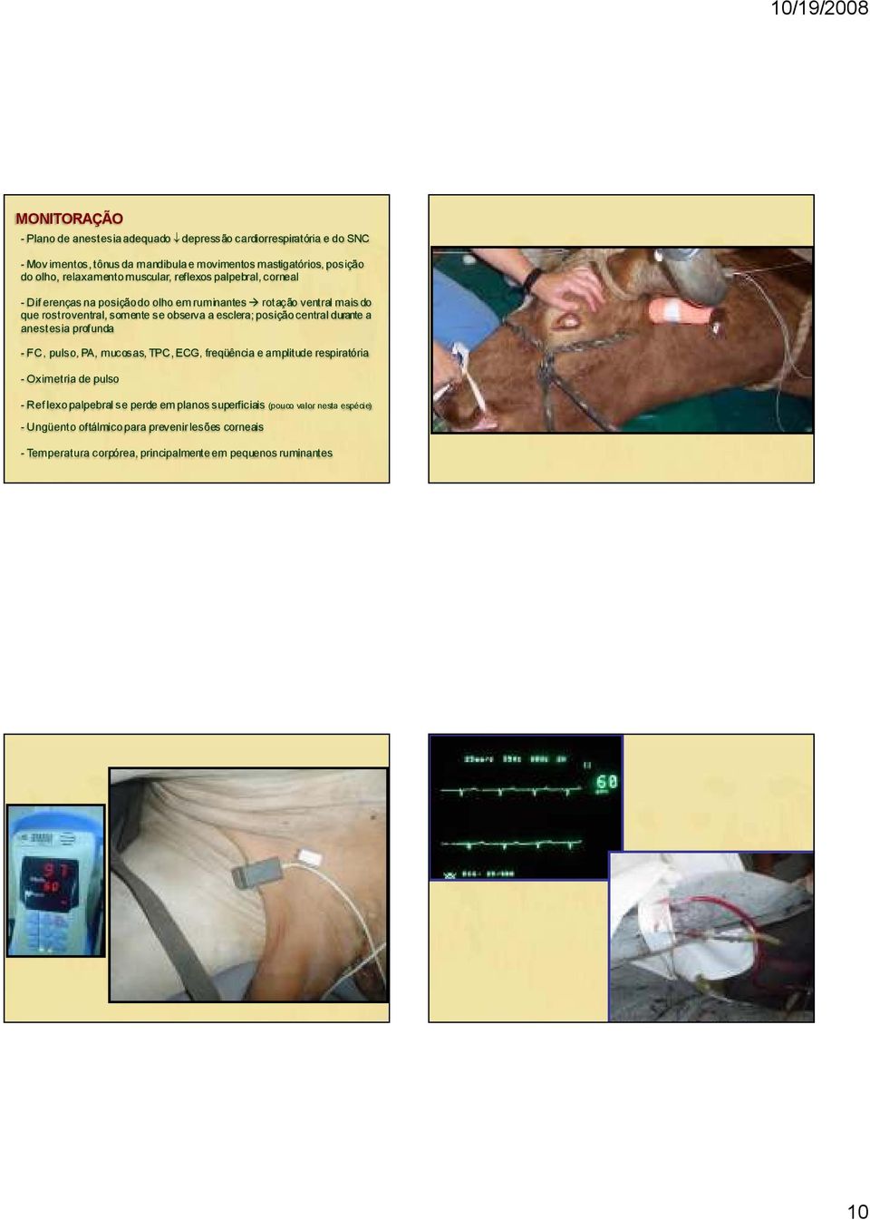 esclera; posiçãocentral durante a anestesia profunda - FC, pulso, PA, mucosas, TPC, ECG, freqüência e amplitude respiratória - Oximetria de pulso - Ref