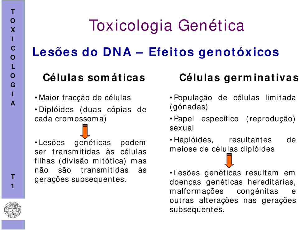 élulas germinativas População de células limitada (gónadas) Papel específico (reprodução) sexual Haplóides, resultantes de meiose de