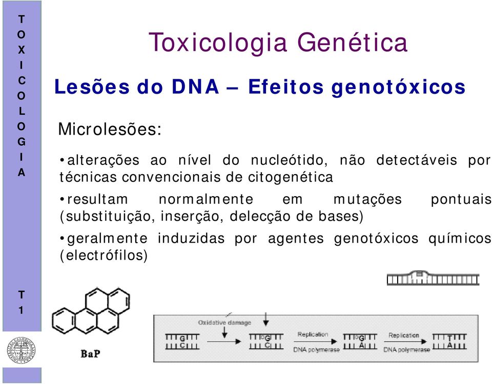 citogenética resultam normalmente em mutações pontuais (substituição,