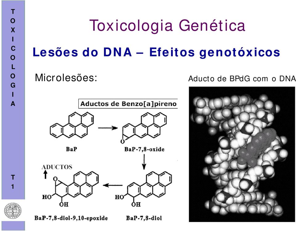 genotóxicos