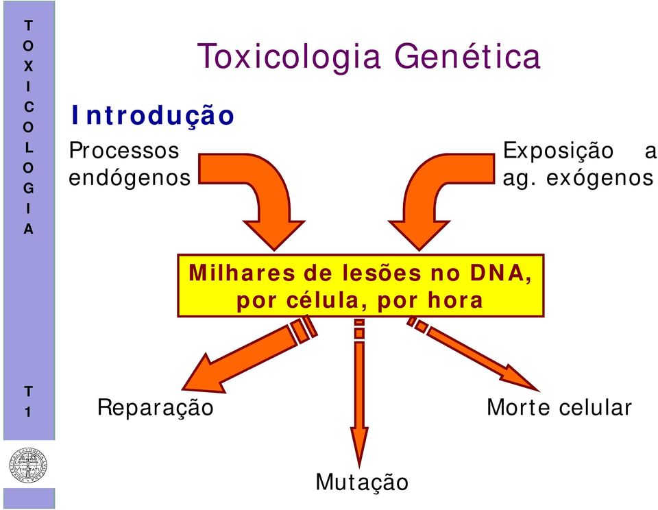 exógenos Milhares de lesões no DN,