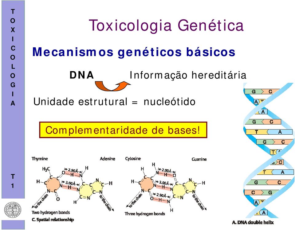 hereditária Unidade estrutural =