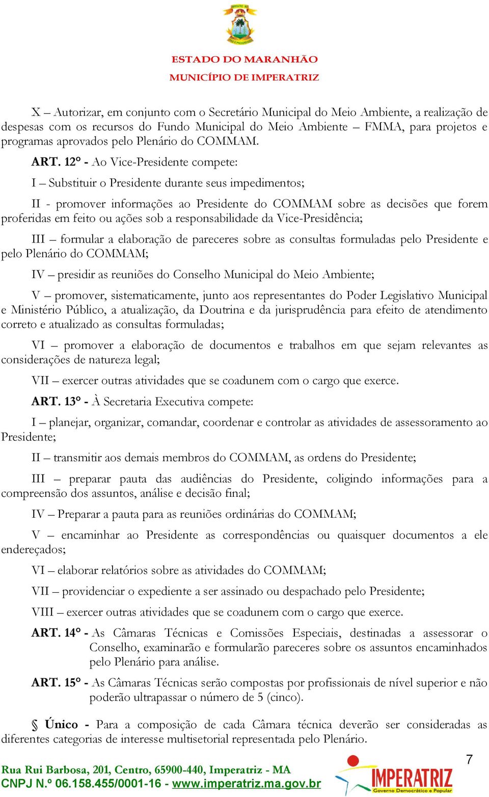 12 - Ao Vice-Presidente compete: I Substituir o Presidente durante seus impedimentos; II - promover informações ao Presidente do COMMAM sobre as decisões que forem proferidas em feito ou ações sob a