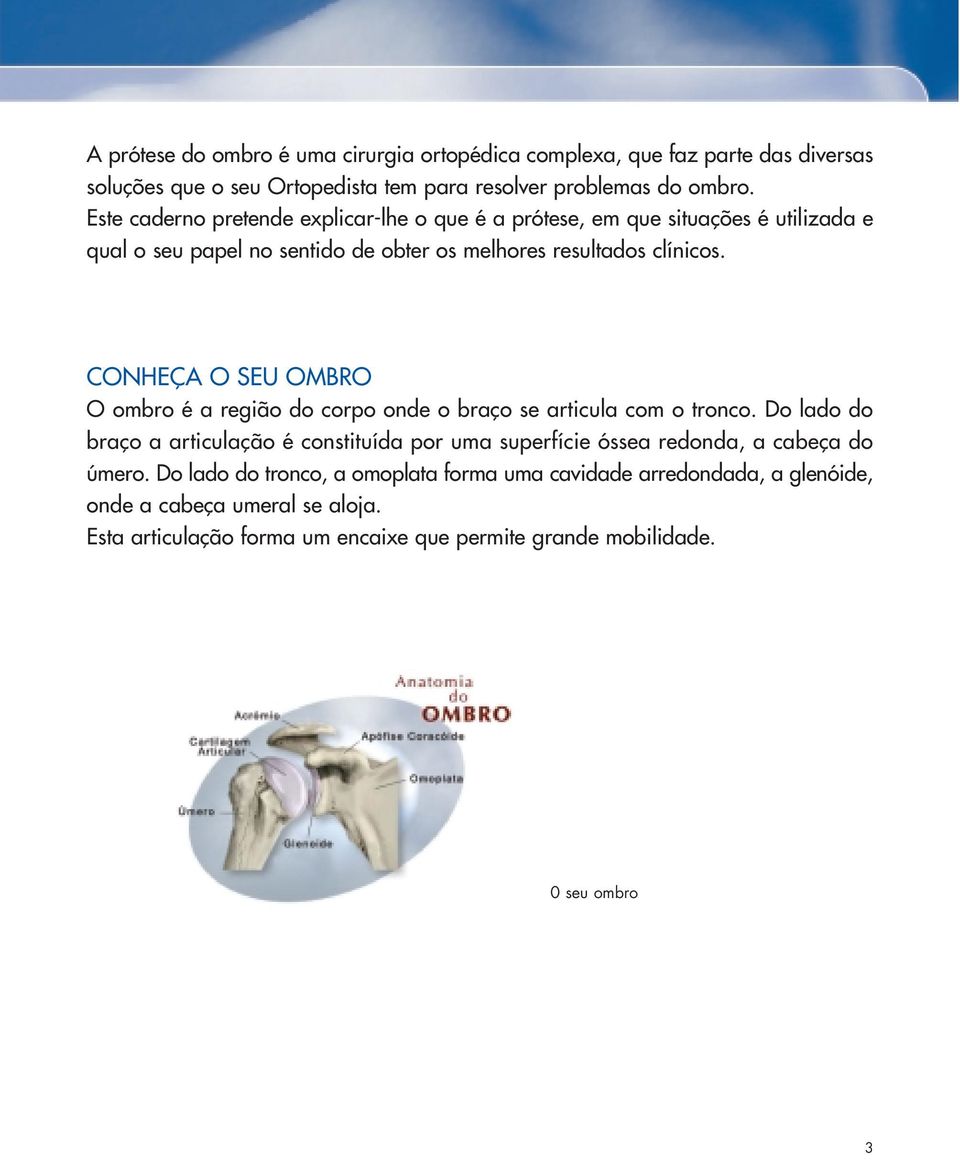 CONHEÇA O SEU OMBRO O ombro é a região do corpo onde o braço se articula com o tronco.