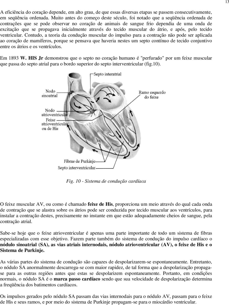 inicialmente através do tecido muscular do átrio, e após, pelo tecido ventricular.