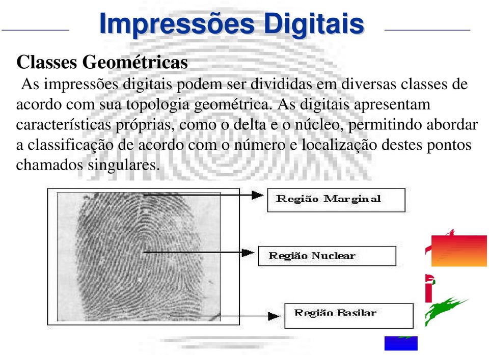 As digitais apresentam características próprias, como o delta e o núcleo,