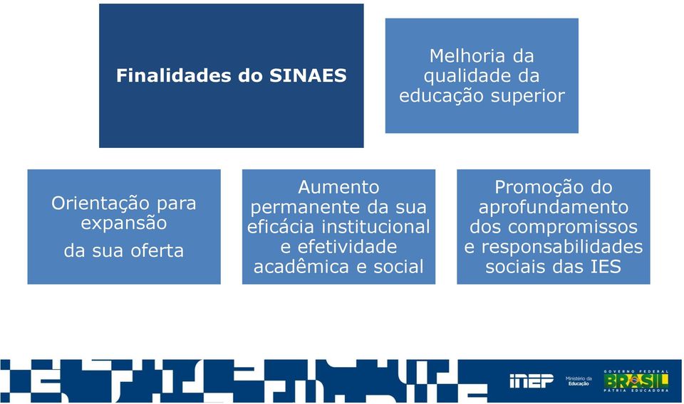 eficácia institucional e efetividade acadêmica e social Promoção