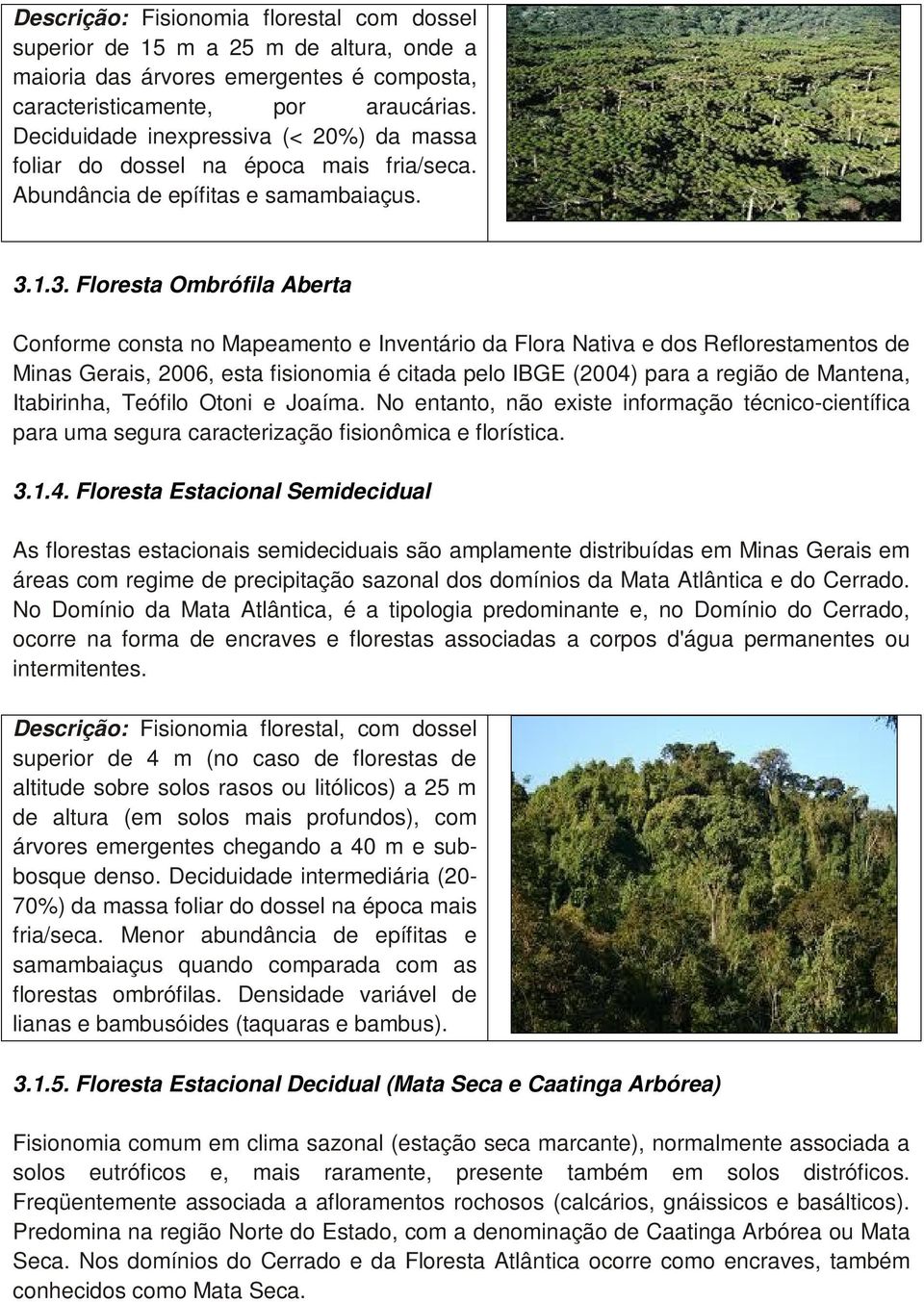 1.3. Floresta Ombrófila Aberta Conforme consta no Mapeamento e Inventário da Flora Nativa e dos Reflorestamentos de Minas Gerais, 2006, esta fisionomia é citada pelo IBGE (2004) para a região de